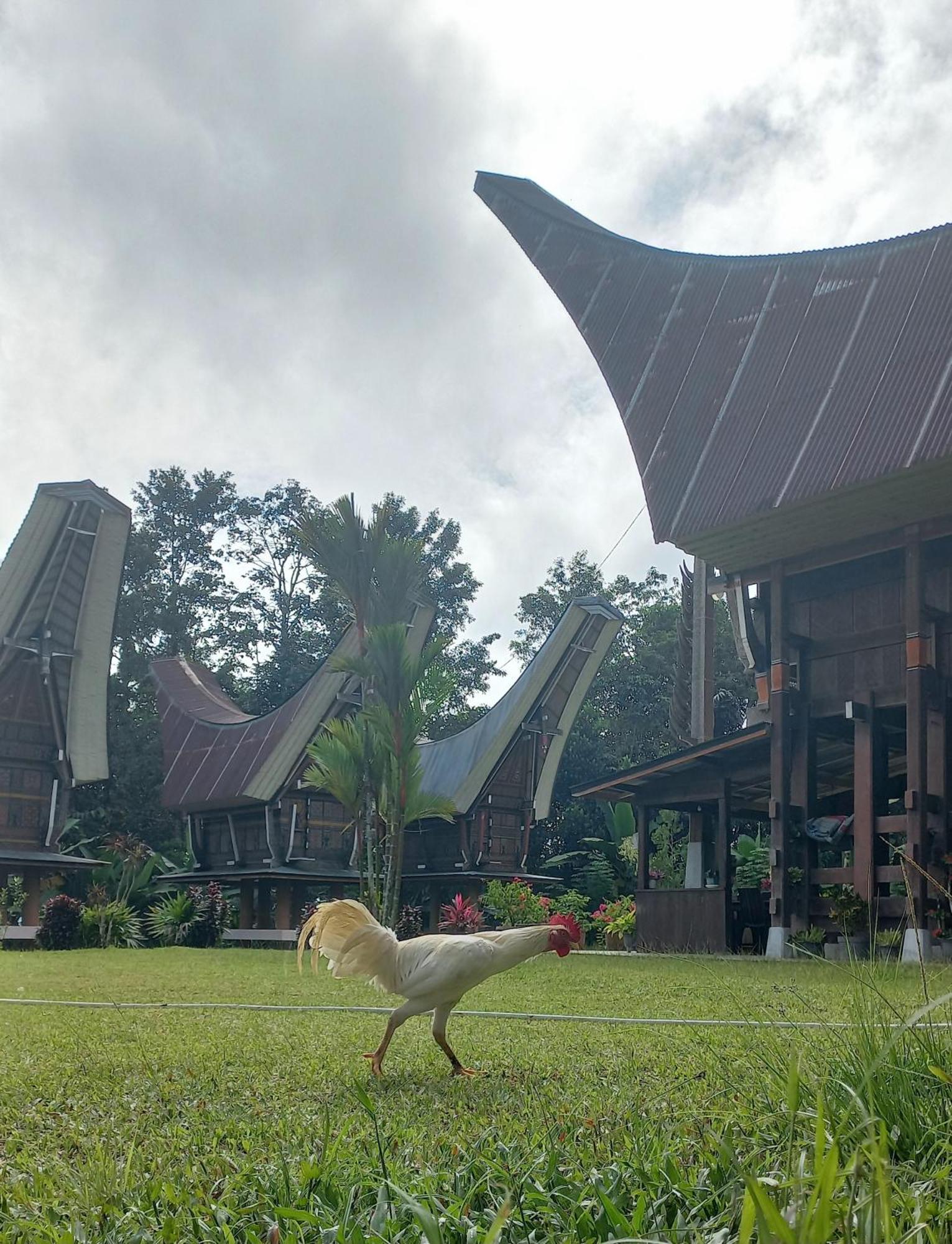 Toraja Homestay & Coffee Bunna Rantepao Exterior photo